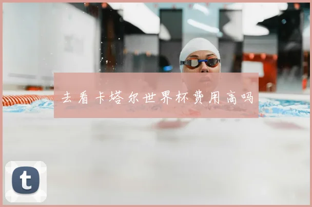 去看卡塔尔世界杯费用高吗